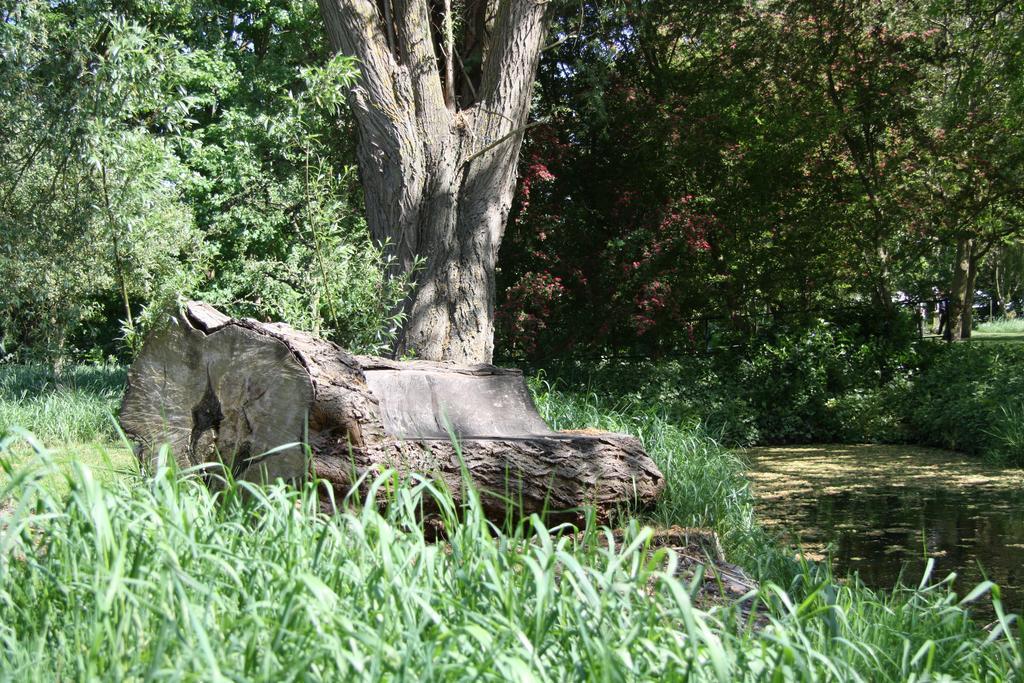 'T Koetshuys Villa Heenvliet Bagian luar foto